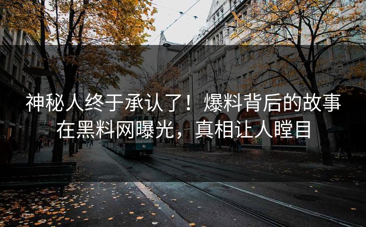 神秘人终于承认了！爆料背后的故事在黑料网曝光，真相让人瞠目