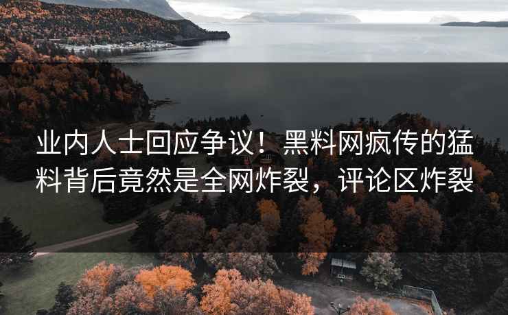 业内人士回应争议！黑料网疯传的猛料背后竟然是全网炸裂，评论区炸裂