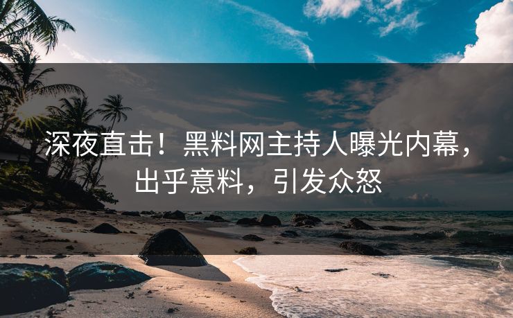 深夜直击！黑料网主持人曝光内幕，出乎意料，引发众怒