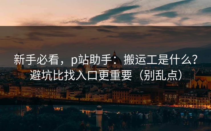 新手必看，p站助手：搬运工是什么？避坑比找入口更重要（别乱点）